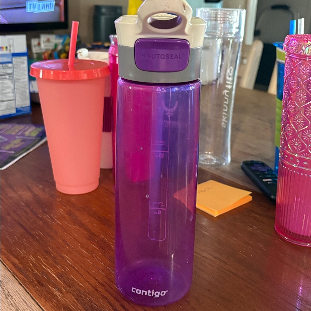 Contigo Violet AUTOSPOUT Water Bottle
